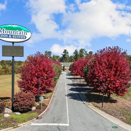 Mountain Inn & Suites Flat Rock Exterior photo